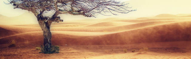 Prantsusmaal sündis kliimapagulase pretsedent