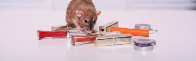 Julmusevaba kosmeetika nimel: Eesti loomakaitsjad liitusid üleeuroopalise võrgustikuga