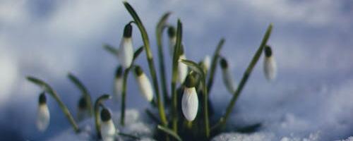 Ilm läheb taas talvisemaks