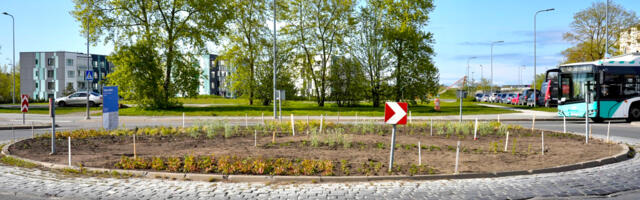Lasnamäel valmib kaks uut haljastusprojekti
