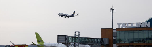 Wizzair soovib saada juhtivaks lennufirmaks Tallinnas