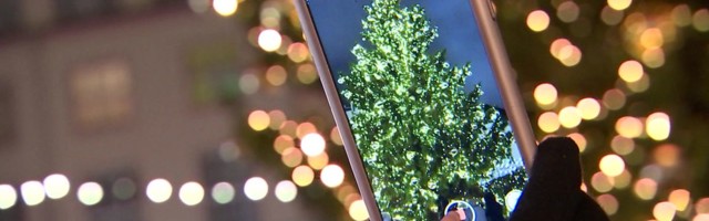 Reporter: Süttisid Tallinna Raekoja platsi jõulupuu tuled!