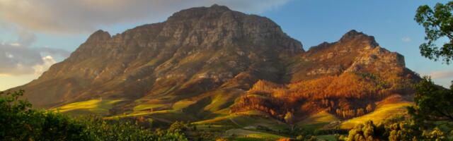 Vaho Klaamann: uued tegijad Lõuna-Aafrika Vabariigi lummavatel põldudel