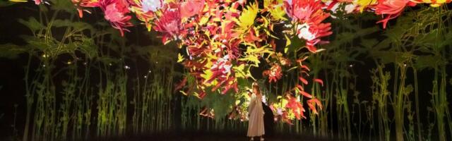 Programmeerijate näitus püstitas Kumus uue publikurekordi. "Absoluutselt erakordne"