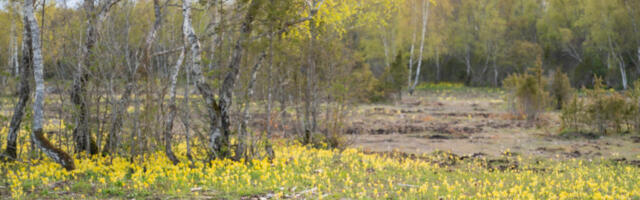 Talgupäeva keskmes on keldrid, saunad ja koolid