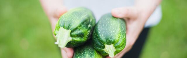 Elvas võetakse luubi alla haridusasutuste toiduhankimise kitsaskohad