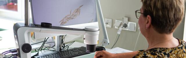 METKi labori seemnekontrolli valdkond on rahvusvaheliselt tunnustatud