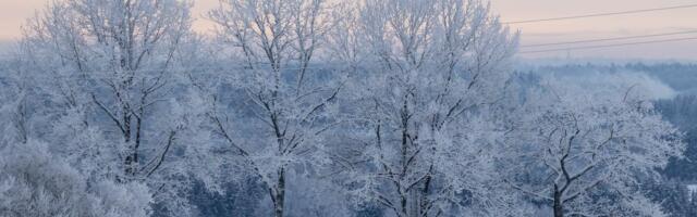 ILMAPROGNOOS | Millist ilma on oodata veebruari teises pooles?