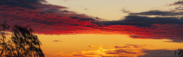 Johann Urb: “Eesti on nii kihvt koht, minul on alati nii hea ja rõõm siin olla ja koos luua”