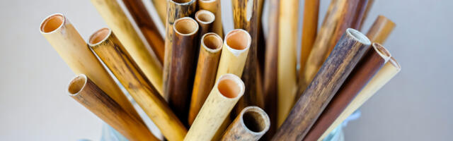 Unistus maailma suurimaks pillirookõrte tootjaks saada purunes: ettevõte koondab kõik töötajad