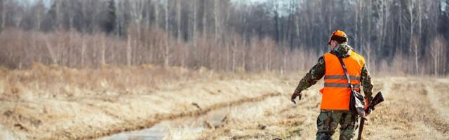 Novembris algama pidanud hundijaht lükati edasi