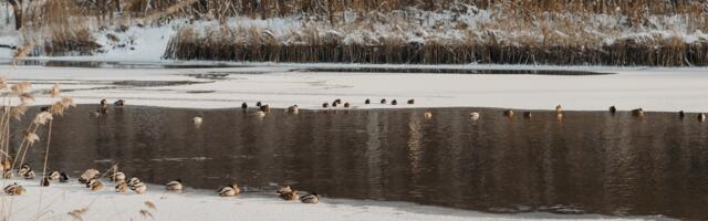 Tänasest on siseveekogude jääle minek keelatud!