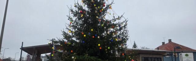 AHTO ILMAJUTUD | Jõuluaeg tuleb lumeta