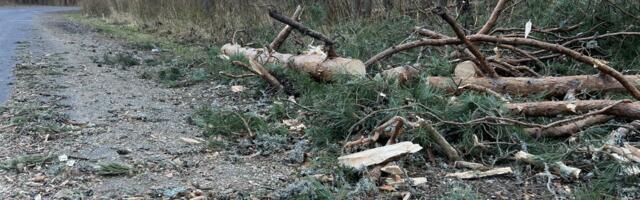 Torm jättis mehe katusele lõksu