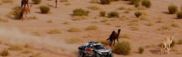 Peterhansel sõidab 14. Dakari võidu suunas, tsiklite üldliider katkestas