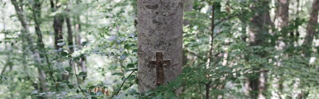 Riik võttis kaitse alla kolm ajaloolist looduslikku pühapaika ning Tartu Põhjasõja-aegse kalmistu