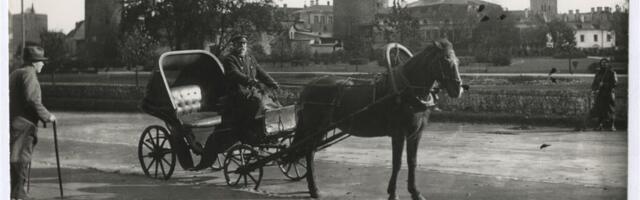 Tarkuse kurnamisest ja kasutamisest