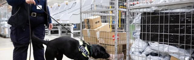 EL karmistab võitlust Hiina odavkaubaga | Juulist igale pakile maks 3 eurot