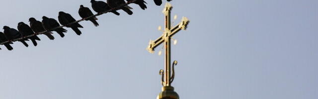 Krasnodaris protestitakse linnaparki sõdurite mälestuskiriku ehitamise vastu