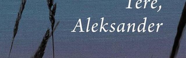 Rohkem päikesepunki!