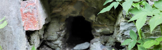 Rebasepere segab erivajadustega laste keskuse elu