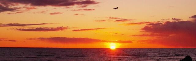 KÕVA SÕNA: miks populaarne lauljanna valis elukohaks Viimsi?