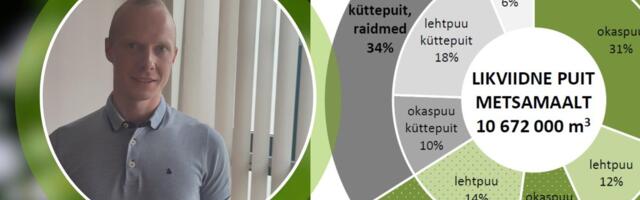 STATISTIKA | Enamik Eesti puidust kas põletatakse või eksporditakse riigist välja