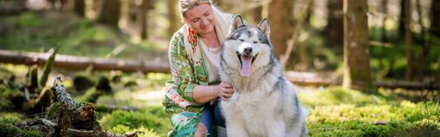 Kristi Metsa-Huvitav, kas nii mõnigi neist valmistub poliitiliseks luigelauluks?