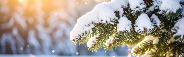 Päevahoroskoop : teisipäev, 20. jaanuar