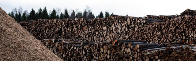 Eksport vähenes mullu 1 protsendi võrra