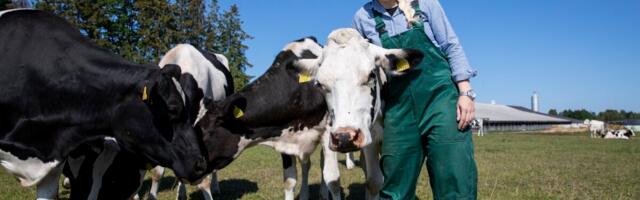 Kaja Piirfeldt: ärevaks tegev olukord on küll