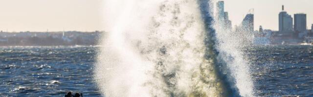 ILMATEADE | Kolmapäeval võib tuul puhuda kuni 18 m/s