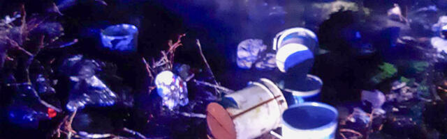 Tartus põles prügihunnik