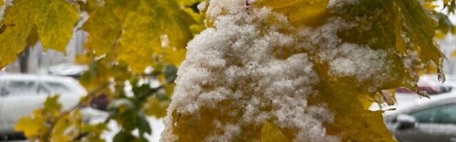 Järgmistel päevadel on oodata miinuskraade