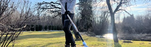 Eksperdid selgitavad: just need kevadised muruhoolduse vead võivad muru ära rikkuda