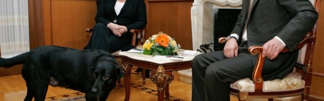 ÜLEVAADE | Borrell pole esimene, kes narriks tehti. Walesi printsi solvamine, atašee tapetud koera juhtum ja teisi Vene diplomaatia näiteid