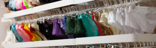 EBAREAALNE MÖLL: luksuslikus Moskva pesupoes läks enne sulgemist lahti meeletu osturalli