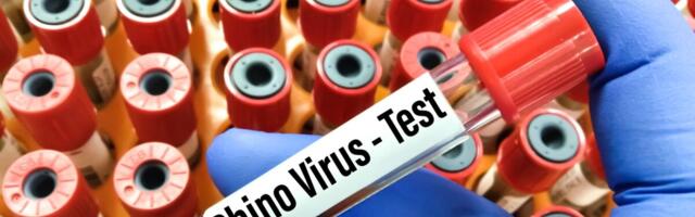 Terviseameti teatel levivad praegu peamiselt rino- ja koroonaviirus