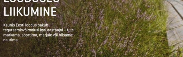Metsapuhkuse planeerimine kolis RMK kodulehele
