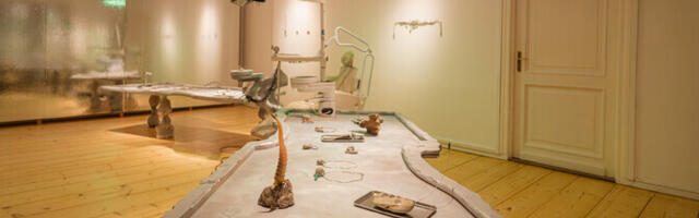 Galerii: Tarbekunsti- ja disainimuuseumis avati näitus "Neandertallase ilukabinet"