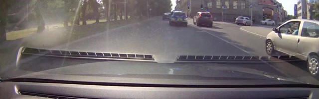 Reporter: Pärnumaal vohas viimaste aastate suuremaid kanepikasvandusi