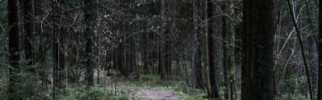 Inglismaa metsas hukkus koerarünnakus kolmekuune beebi