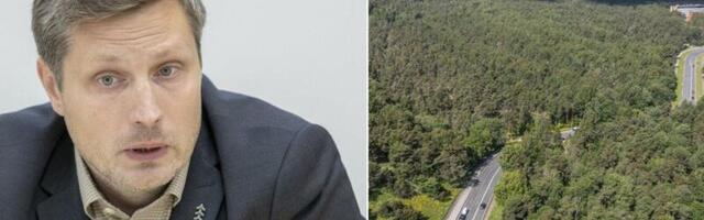 Maaülikooli teadlaste ja ettevõtete koostöös antakse puiduväärindamisele ja metsakasvatamisele uus hoog