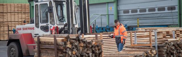 Uuring: üha rohkem Eesti elanikke peab metsade majandamist oluliseks