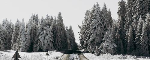 Teeolud ja liikluspiirangud 22. november