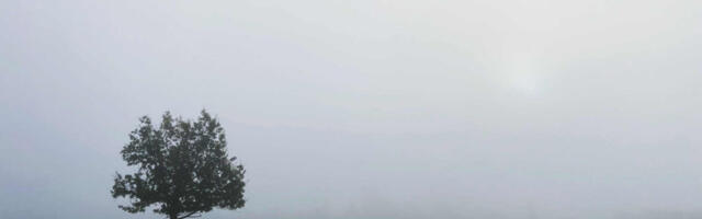 ILMATEADE | Udulaamad vallutavad Hiiumaa