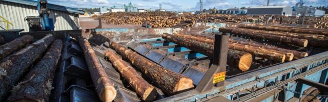 Järgmine suurettevõte koondab juhte. Stora Enso_ kohaneme keeruliste aegadega