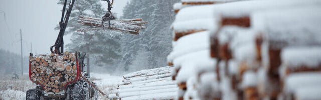 Tänu pikalt kestnud külmale saab metsa teha ka soistel aladel