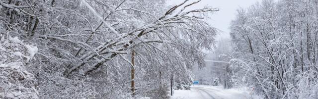 Valga vald maadleb lumega murdunud puude ja elektririketega