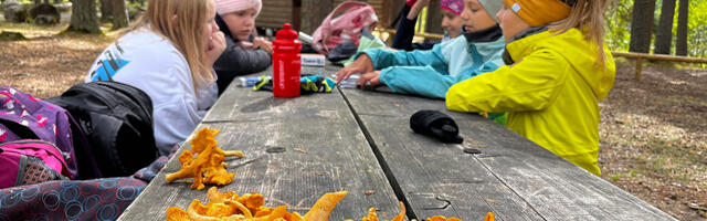 Valitsus kärbib noortelaagrite üleliigseid nõudeid – voodipesu ja potiarv enam ette kirjutatud pole